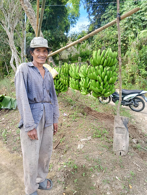 banana3